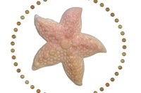 Nautical Elegance - Pink Starfish Pin for a Touch of Sea-inspired Glamour for Your Coat Lapels and Scarfs, Minimalist Style, natural shell