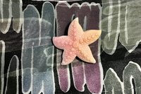 Nautical Elegance - Pink Starfish Pin for a Touch of Sea-inspired Glamour for Your Coat Lapels and Scarfs, Minimalist Style, natural shell